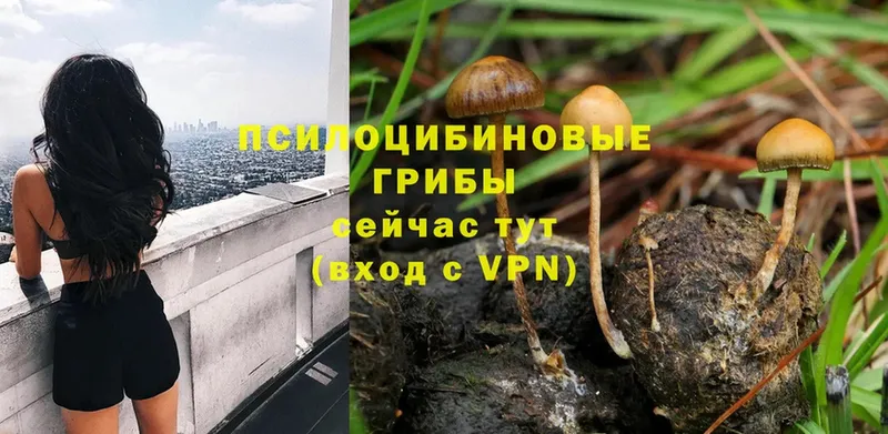 OMG онион  Крымск  Псилоцибиновые грибы MAGIC MUSHROOMS 